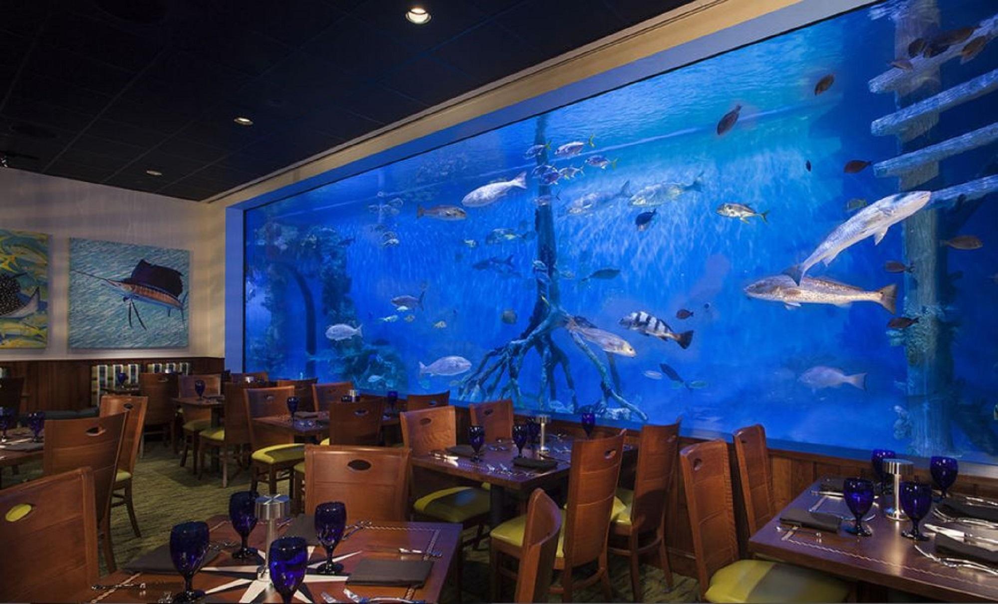 Rumfish Beach At Tradewinds St. Pete Beach Exterior foto